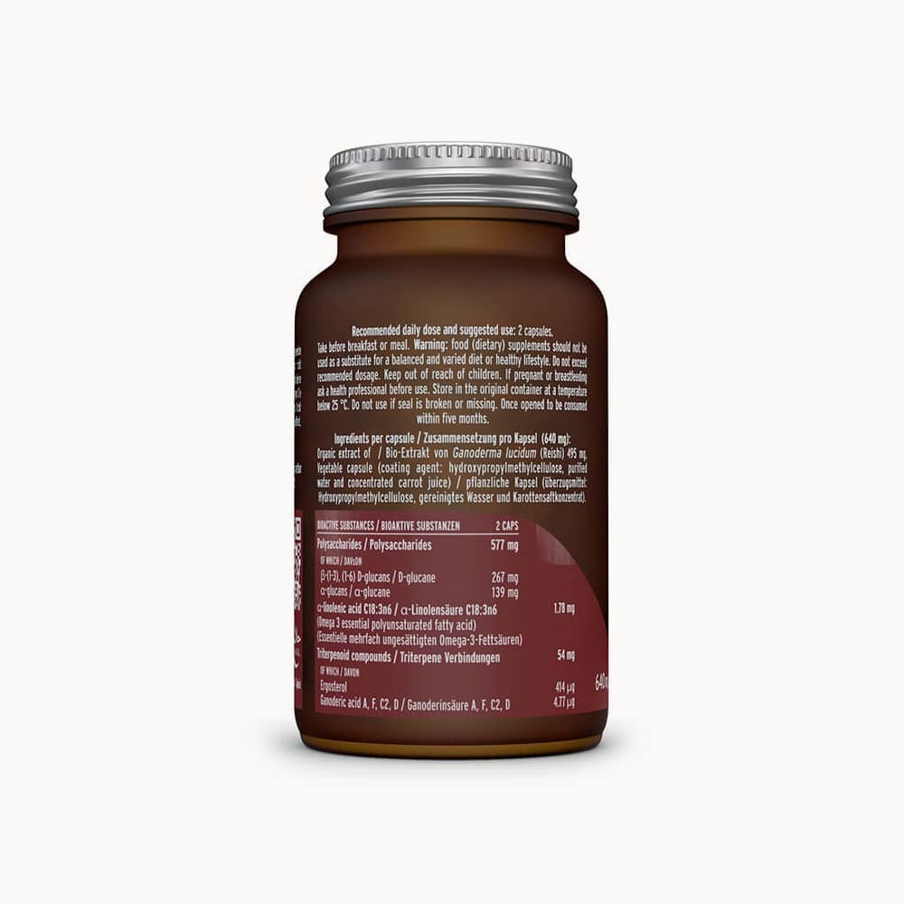 Hifas da Terra MICO-Rei capsules - Image 2