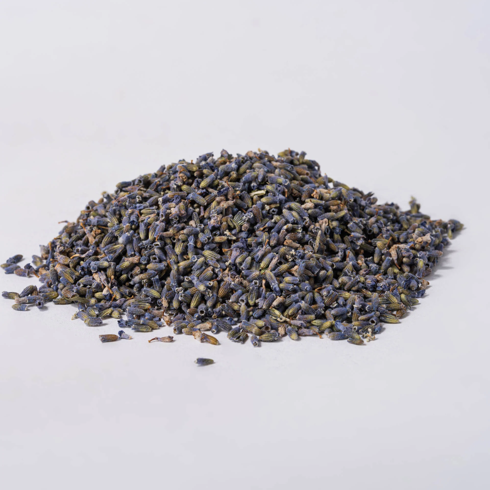 Lavender Flowers (Lavandula angustifolia)