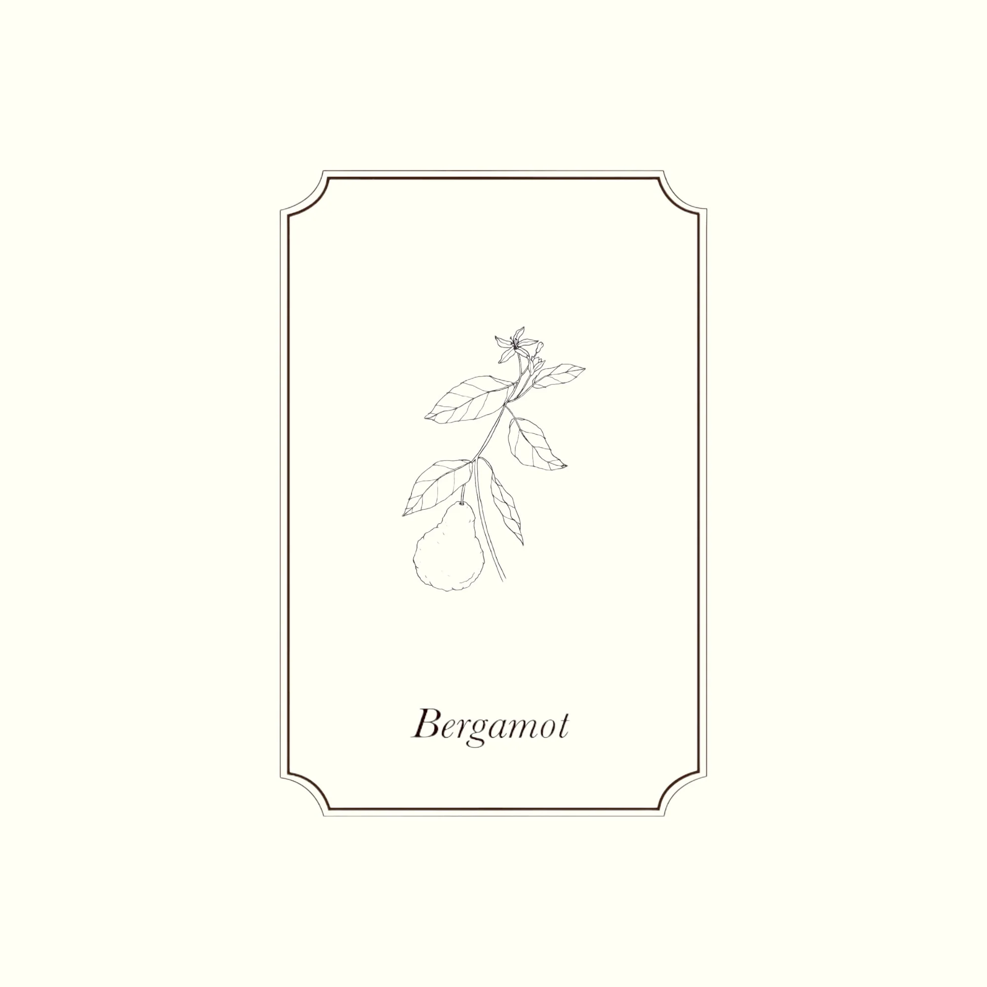 Napiers Bergamot Essential Oil - Image 2