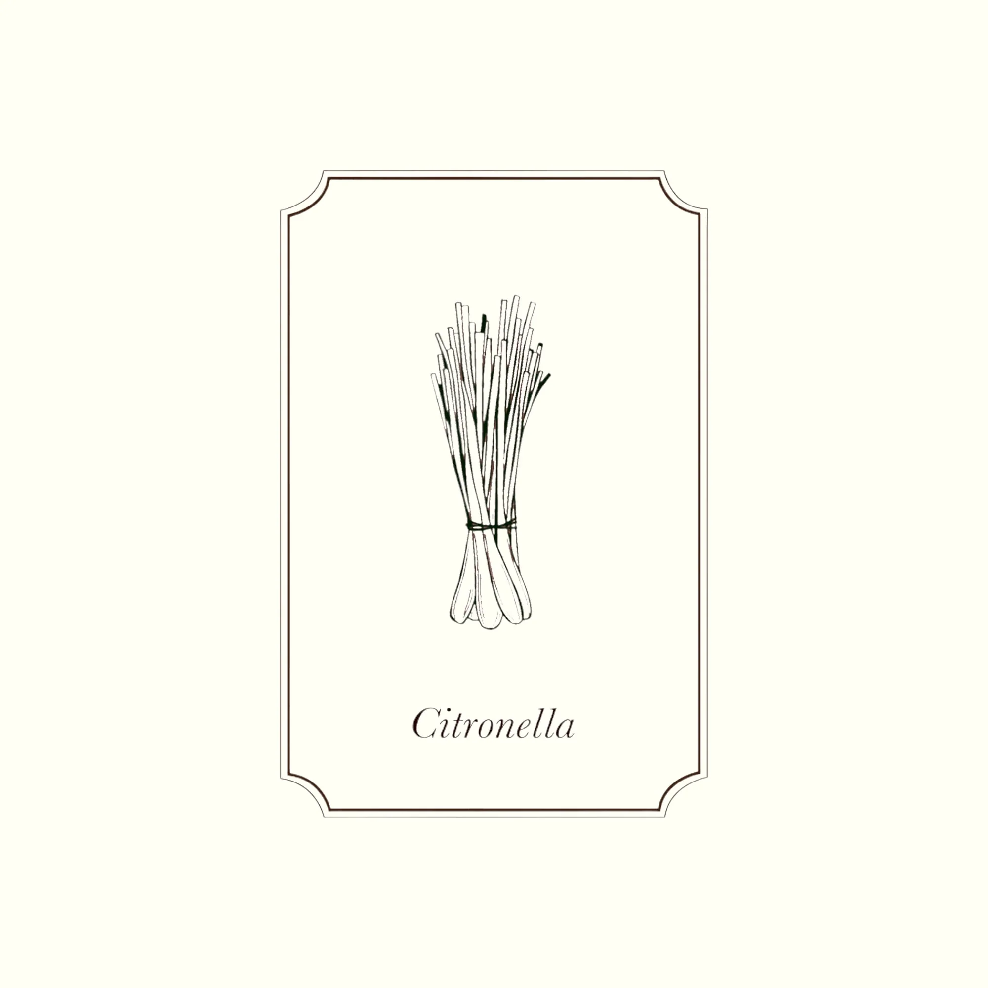 Napiers Citronella Essential Oil - Image 2