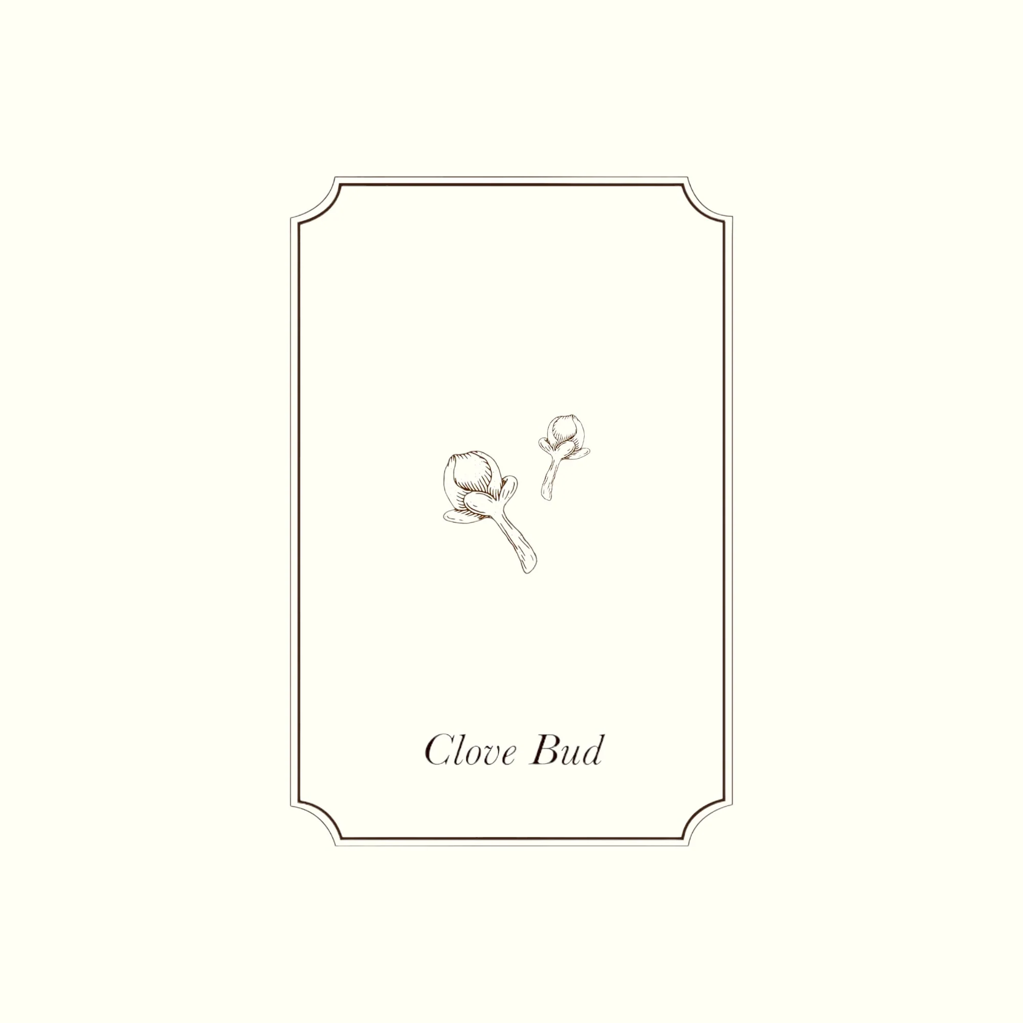 Napiers Clove Bud Essential Oil - Image 2