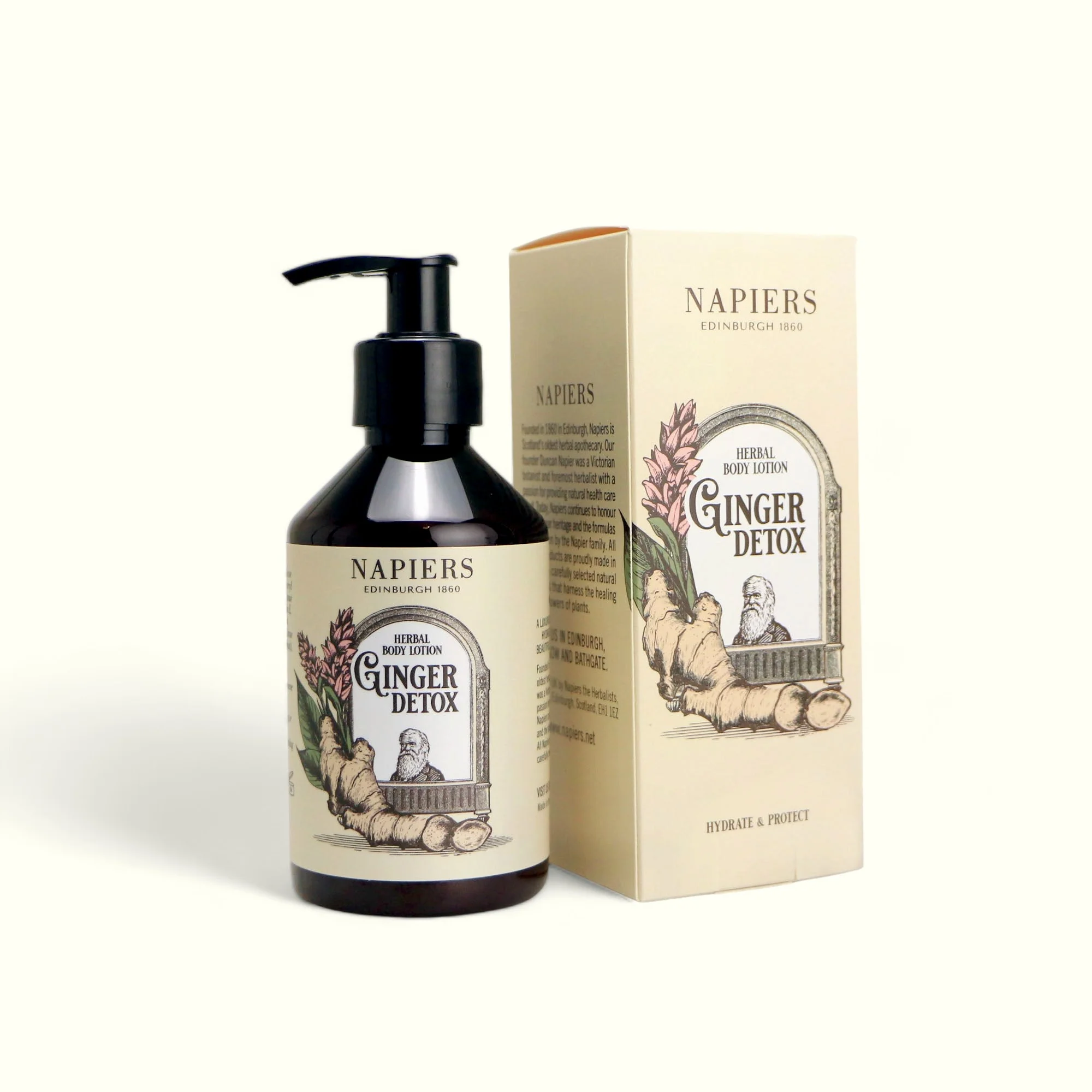Napiers Ginger Detox Herbal Body Lotion - Image 4