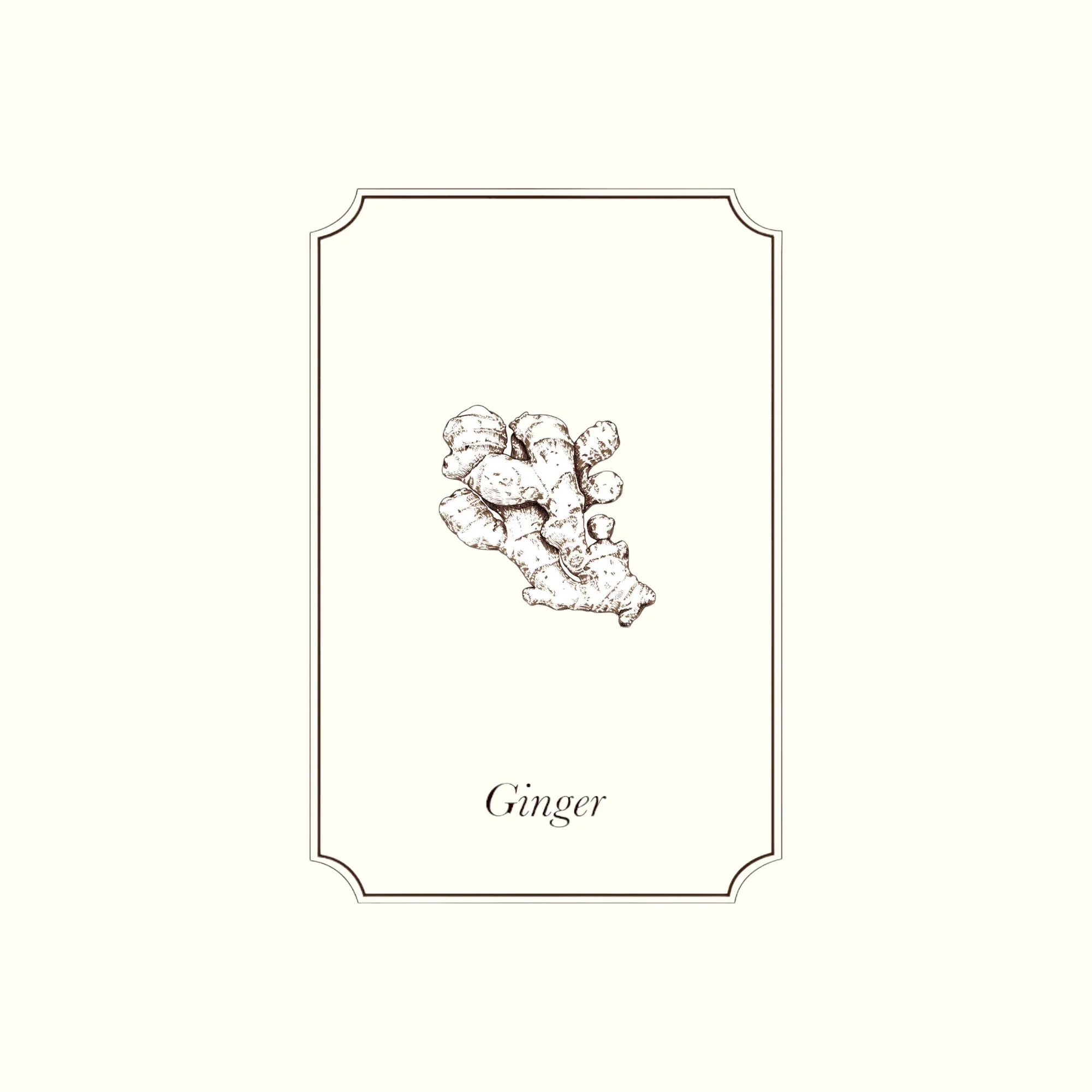 Napiers Ginger Essential Oil - Image 2