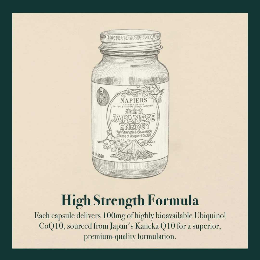 Napiers Japanese Energy - A High Strength And Bioavailable Source of CoQ10 - Image 3
