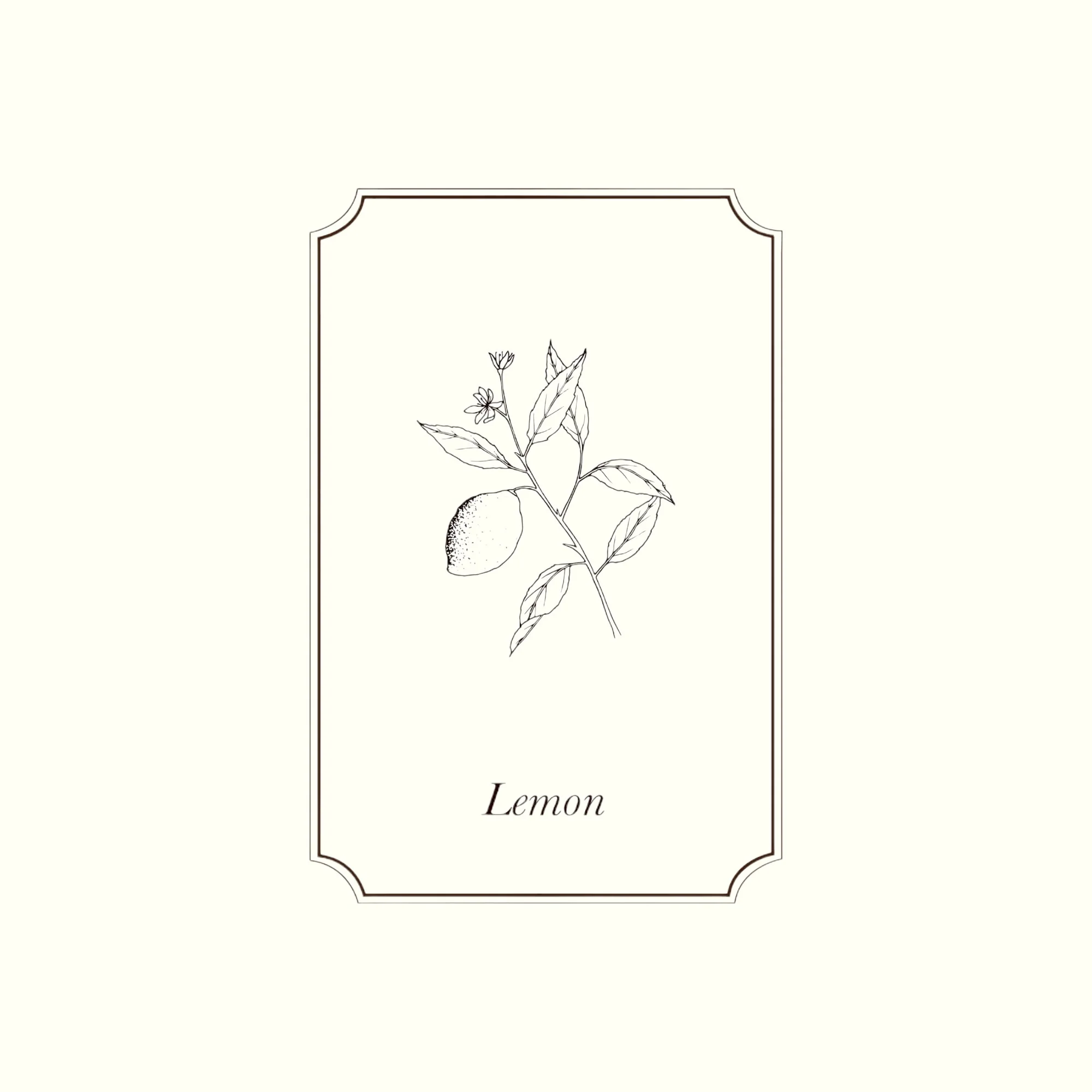 Napiers Lemon Essential Oil - Image 2