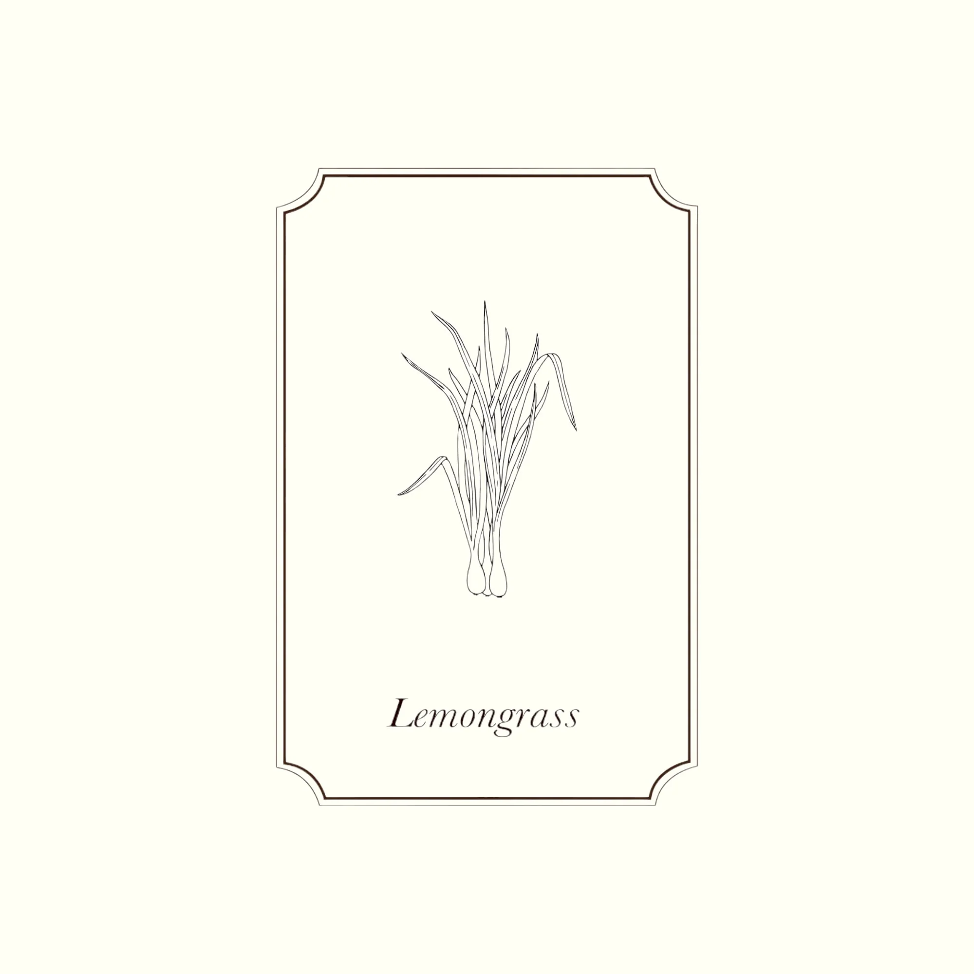 Napiers Lemongrass Essential Oil - Image 2