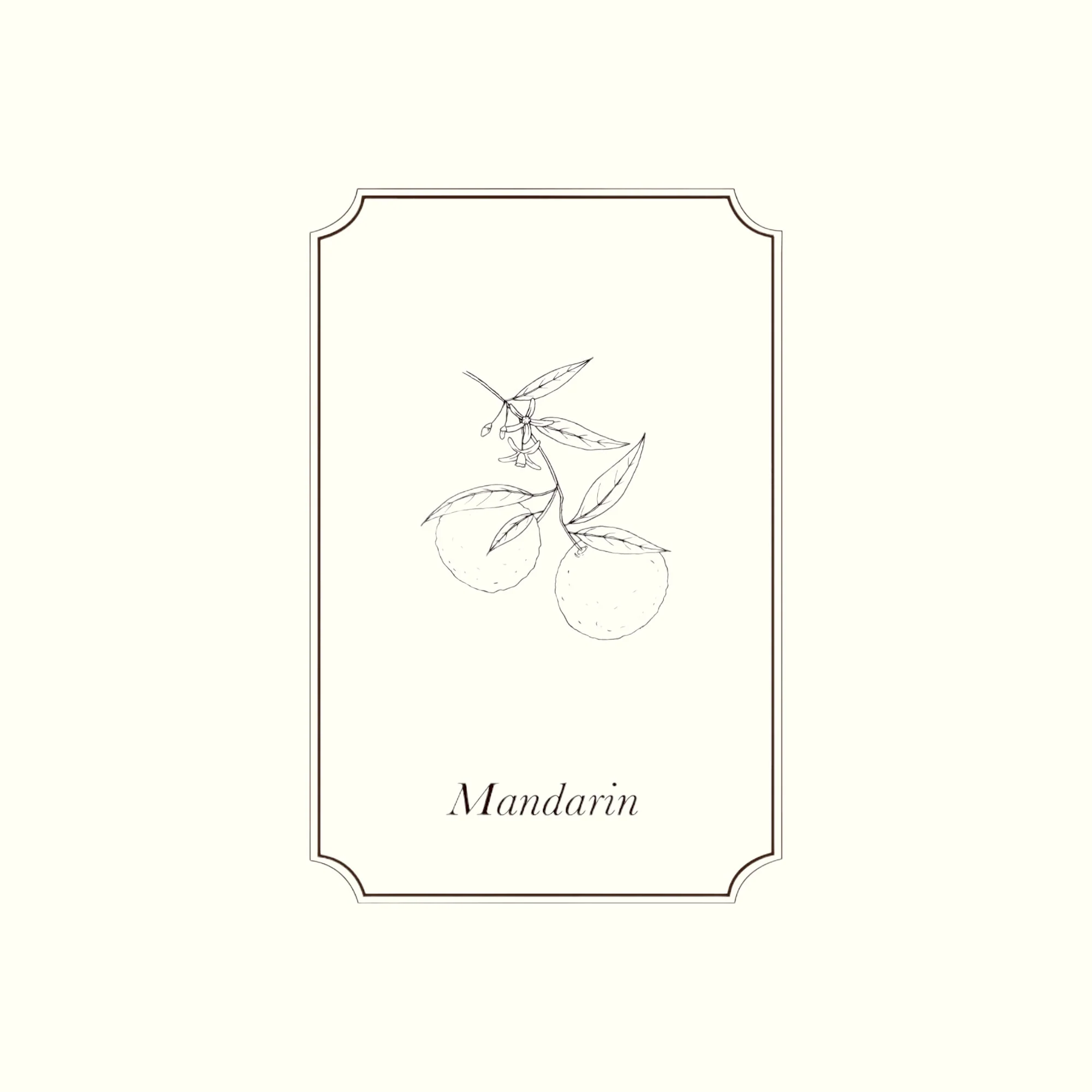Napiers Mandarin Essential Oil - Image 2