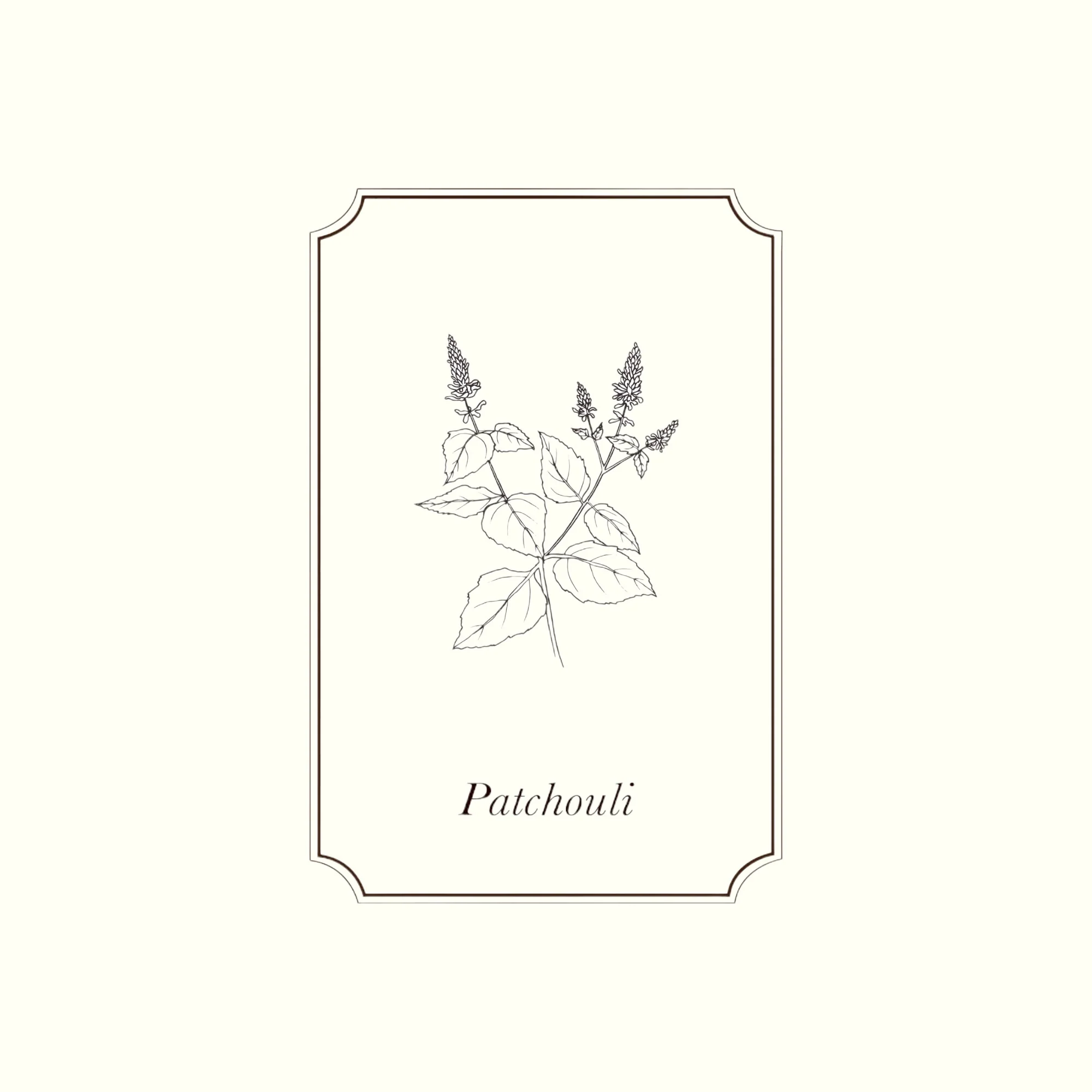 Napiers Patchouli Essential Oil - Image 2