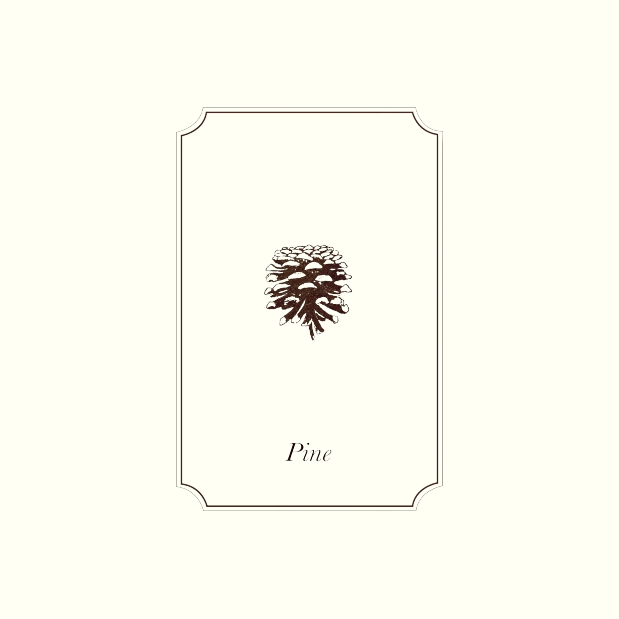 Napiers Pine Essential Oil - Image 2