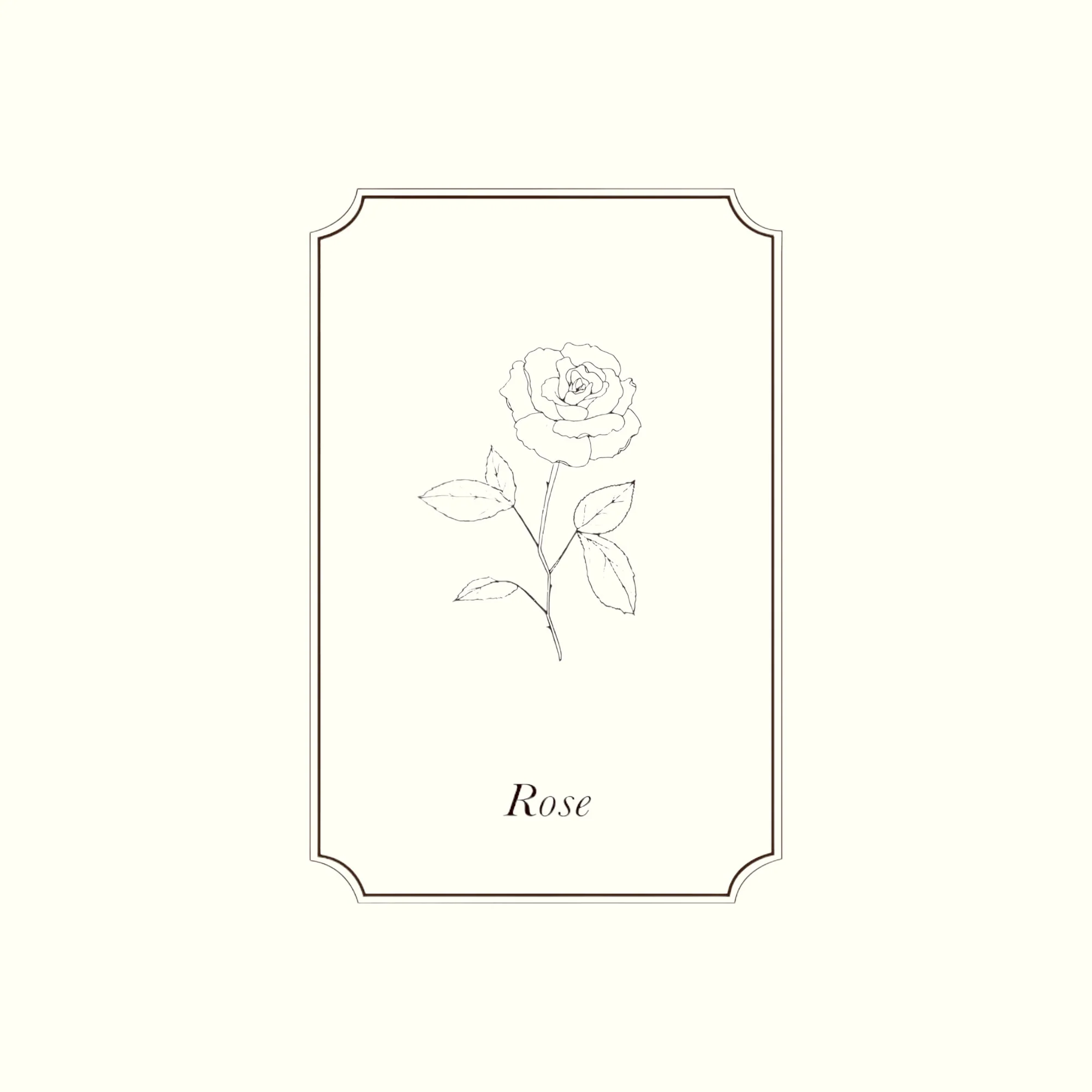 Napiers Rose Absolute 2% Essential Oil Blend - Image 2