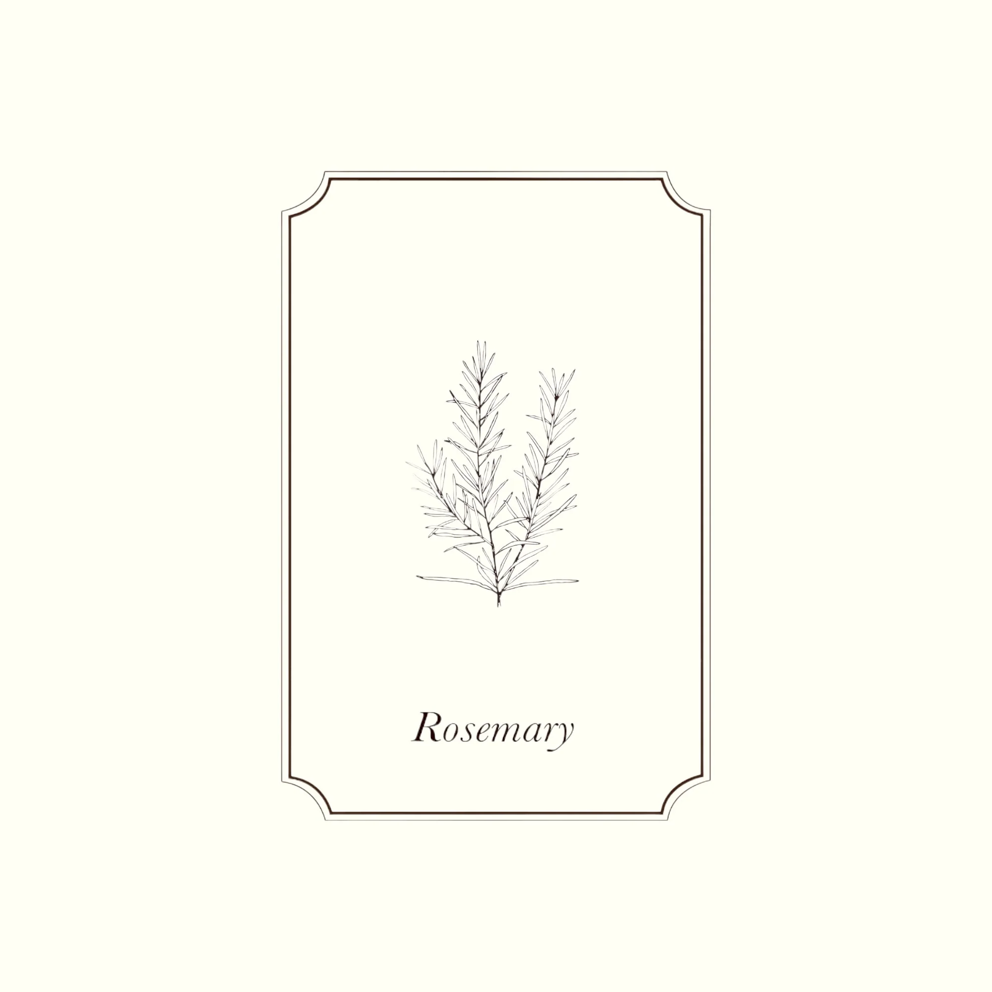 Napiers Rosemary Essential Oil - Image 2