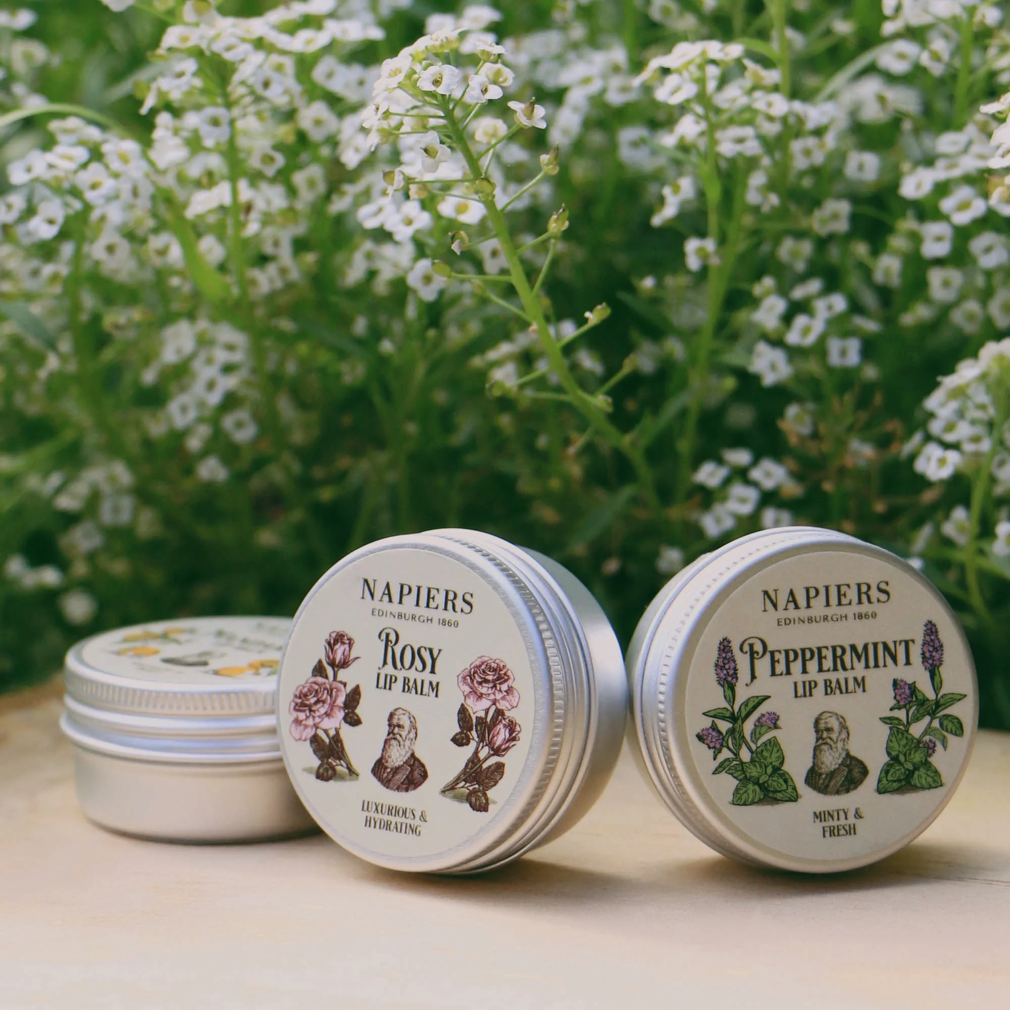 Napiers Rosy Rose Lip Balm - Image 5