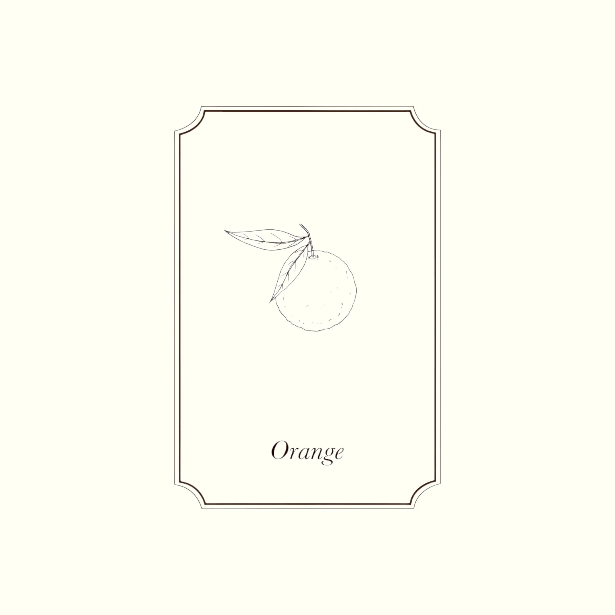 Napiers Sweet Orange Essential Oil - Image 2