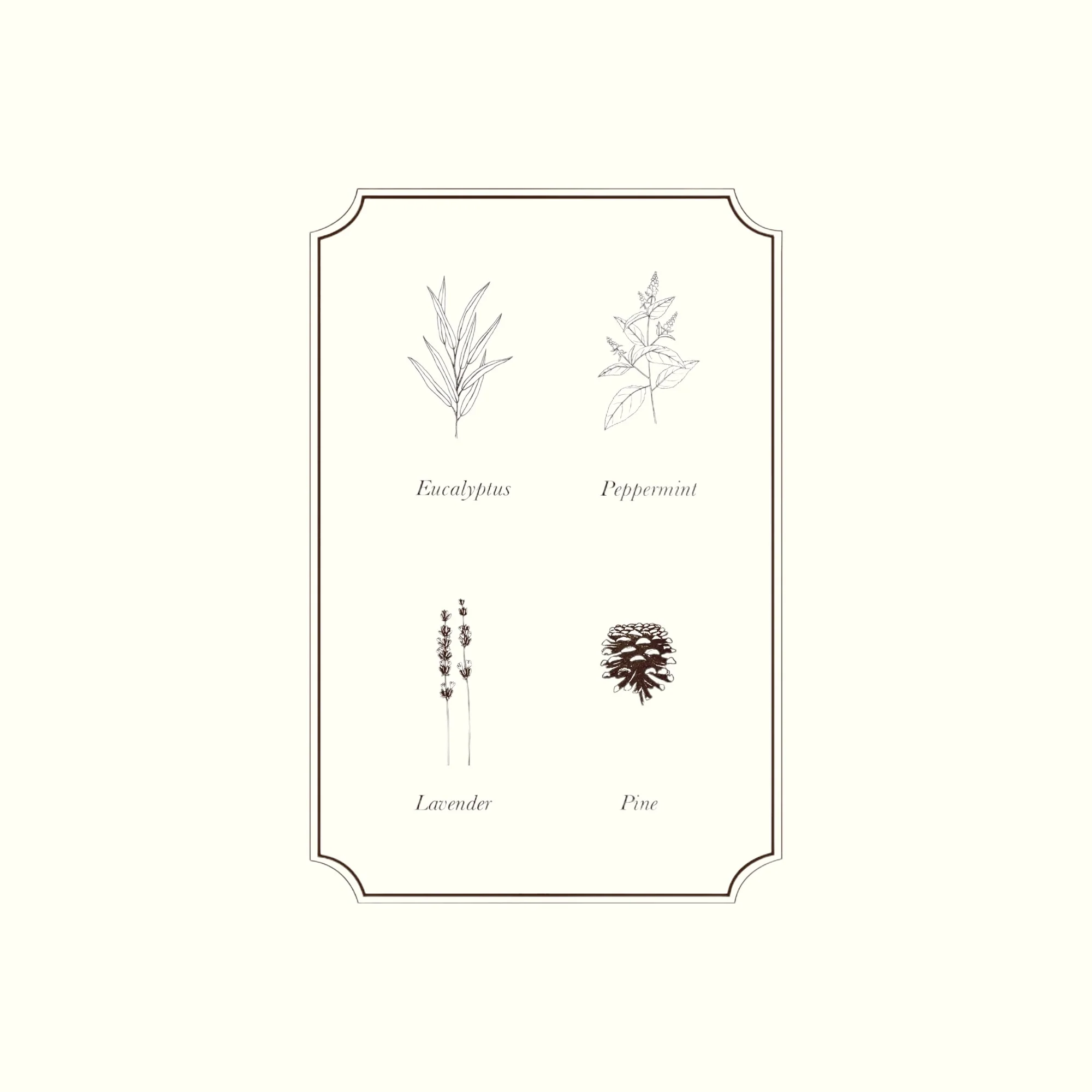 Napiers Vapour Ease Essential Oil Blend - Image 2